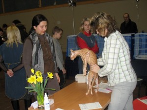 17-18.03.2012 клайпеда международная выставка (5)